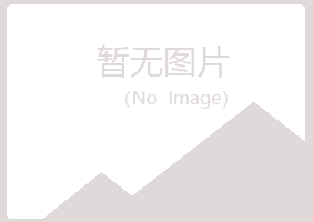 平顺县初夏咨询有限公司